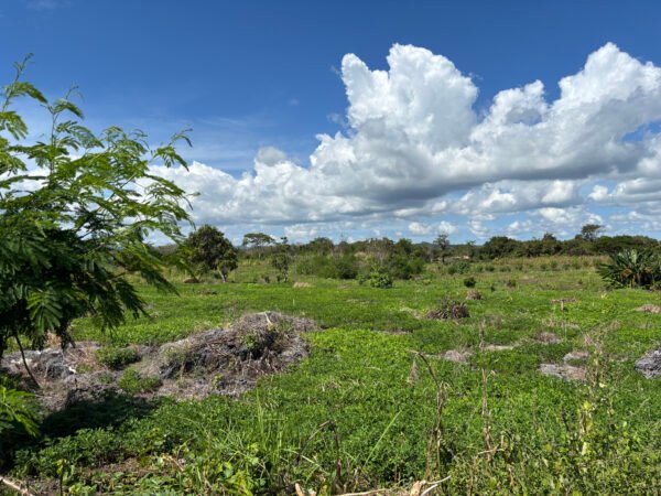 Bila Cengi - 66,000 SQM (Backland)