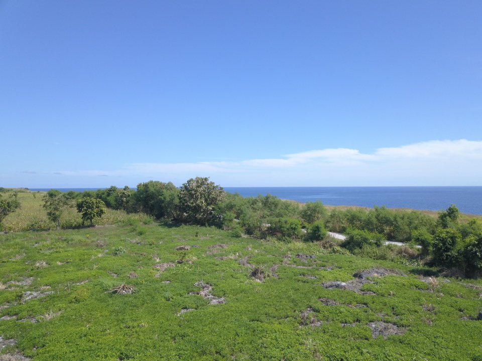 Bila Cenge 1 - Image 2