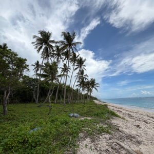 Land for sale in Sumba
