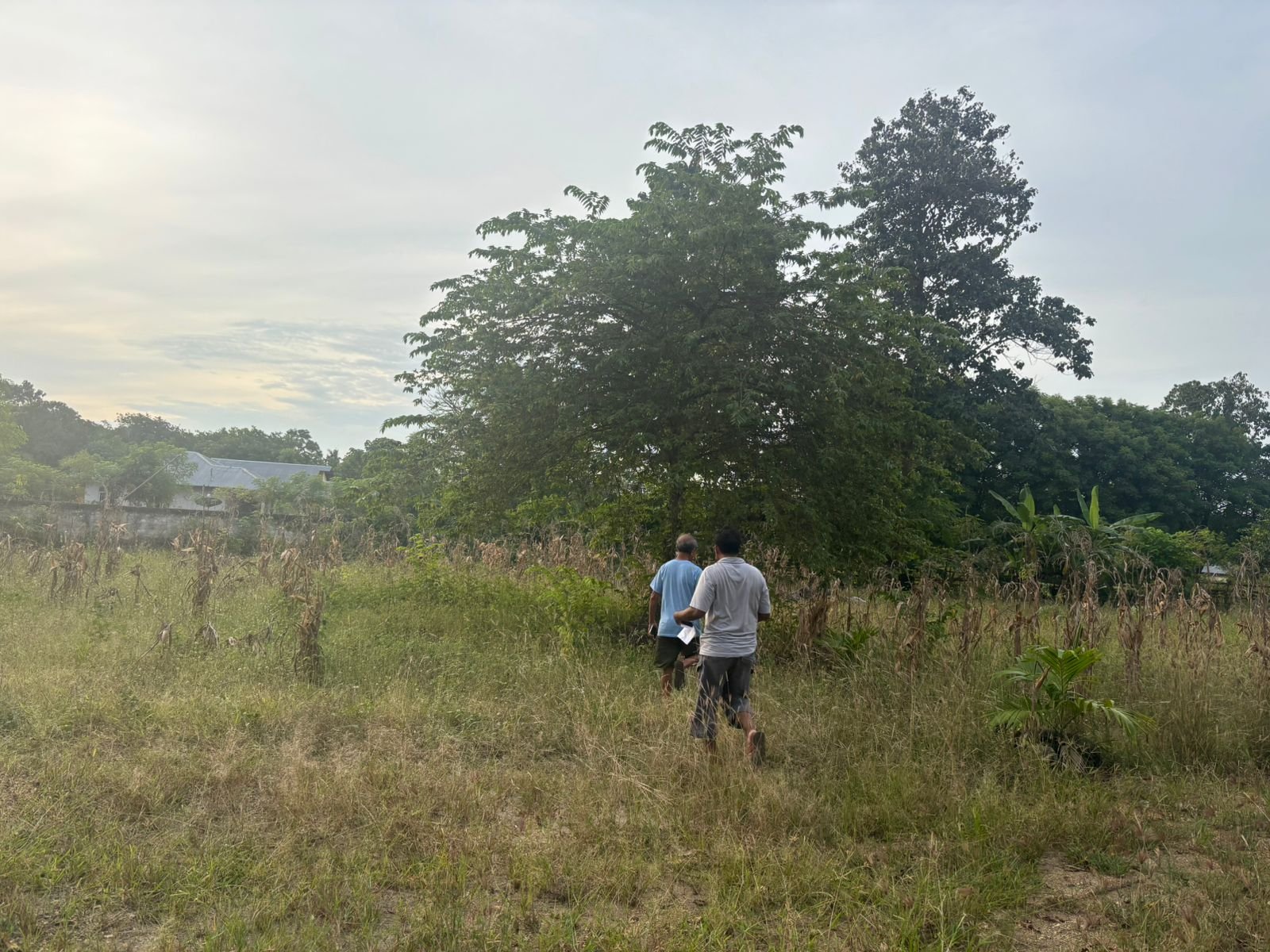 Payola Umbu in Sumba