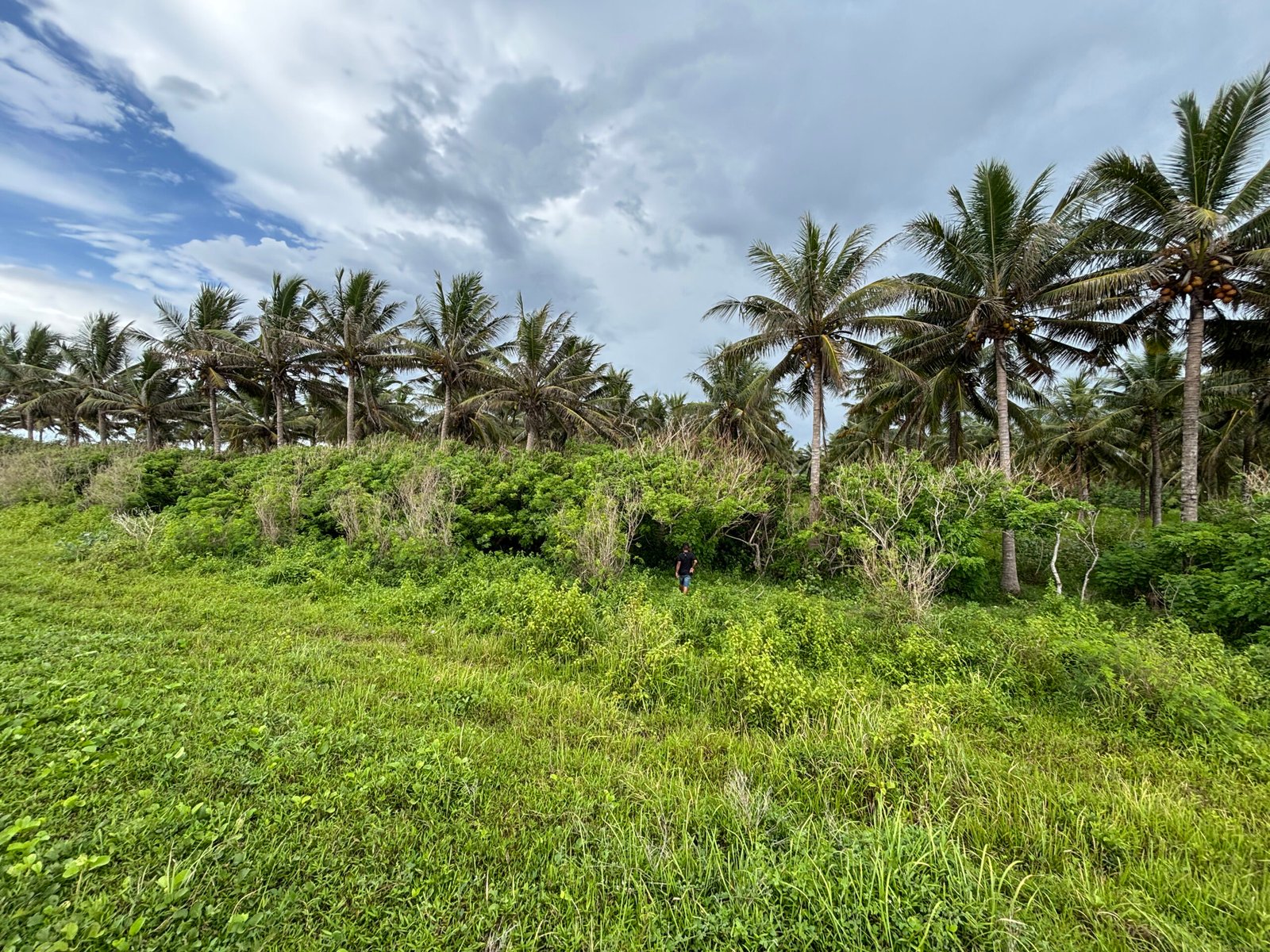 Ratenggaro - Image 3