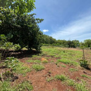 Watu Kawula Land in Sumba