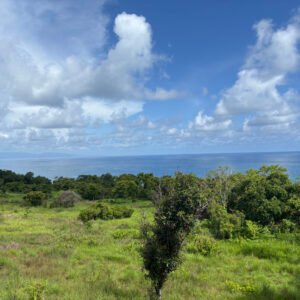 Land for sale in Sumba