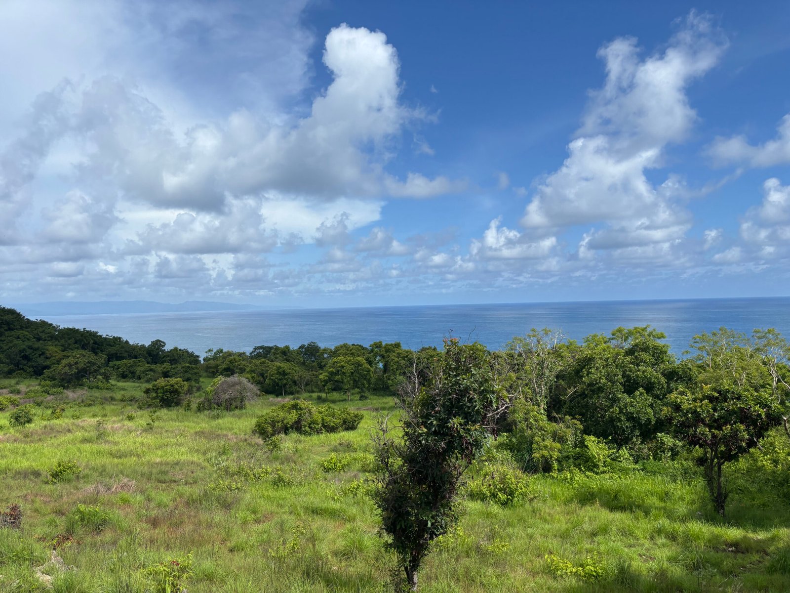 Land for sale in Sumba