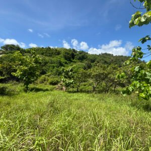 Land for sale in Sumba