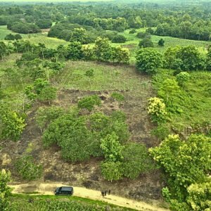 Kale Kambe Land for Sale in Sumba