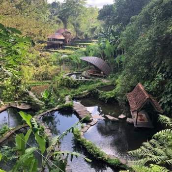 canggu4